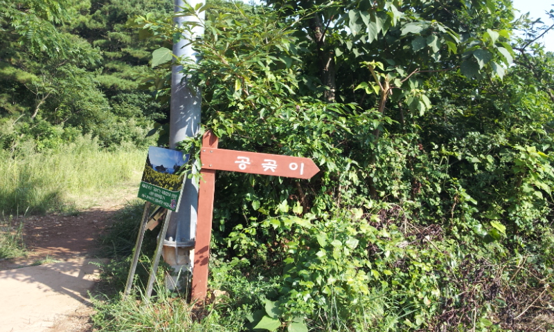 20130908_161747.jpg